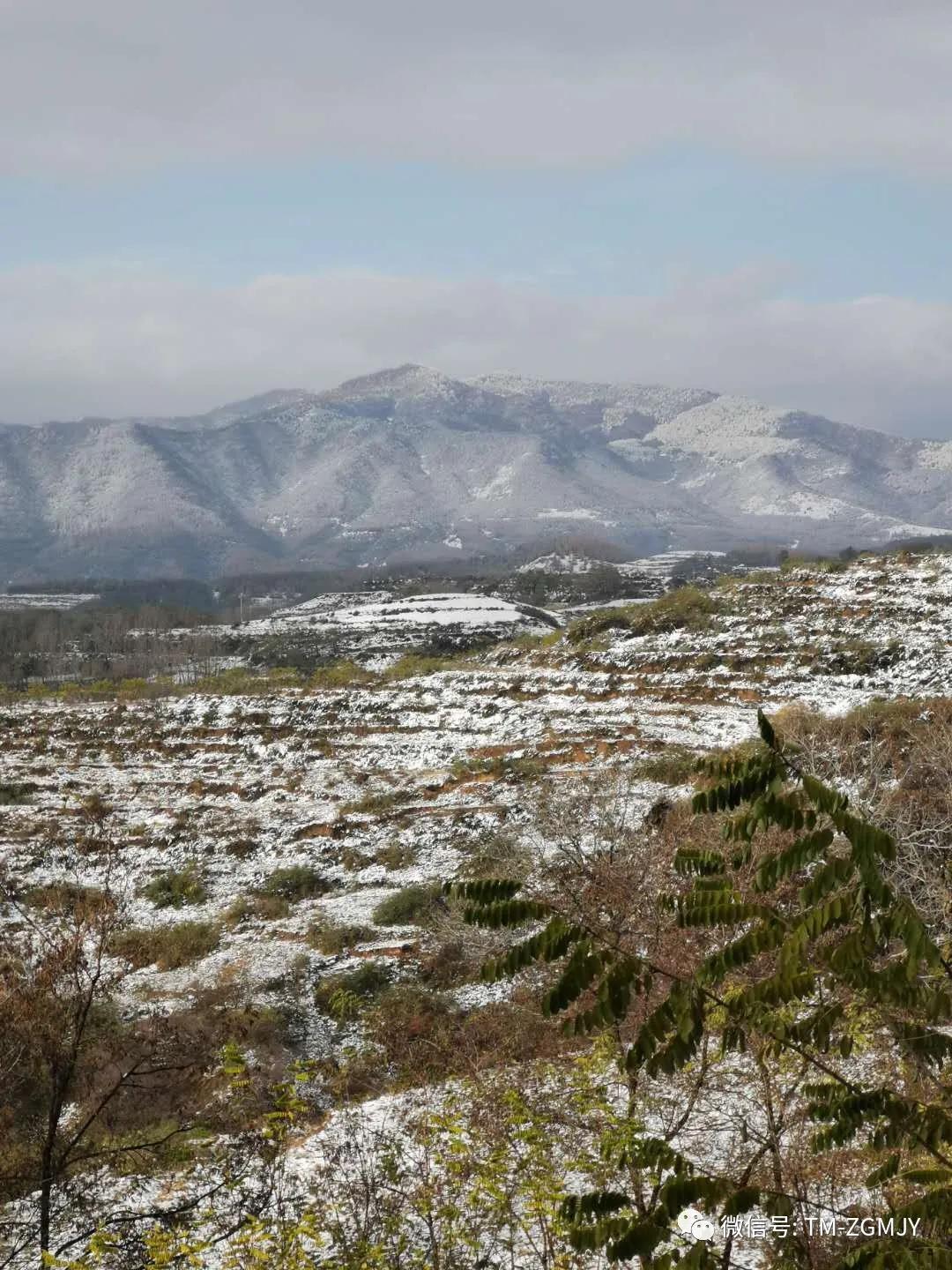 金诃藏药视频,金诃藏药讲座