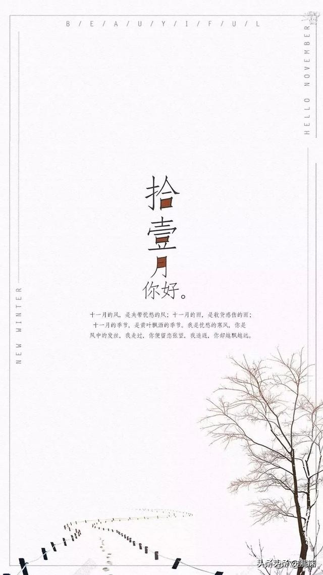 十一月很孤单,十一月孤独寂寞