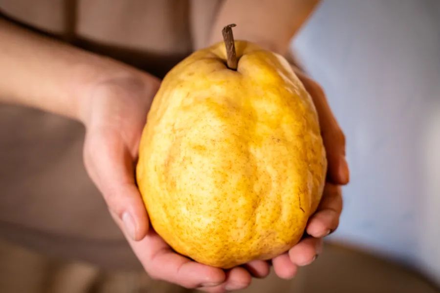 各种新奇水果,20种你没见过的水果