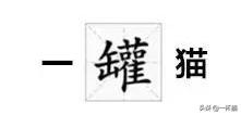一根猫、一滩猫、一架猫，喵星人逆天姿势大全