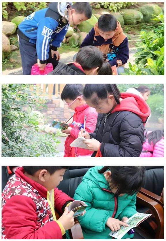 益阳有哪些适合踏春的地方,益阳附近踏春好去处