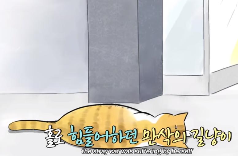 猫冷血无情是真的吗,猫的性格有多残忍