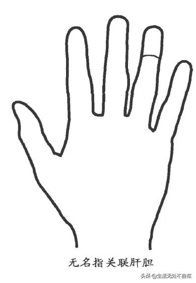 五指对应的五脏的位置,五只手指代表五脏哪个部位