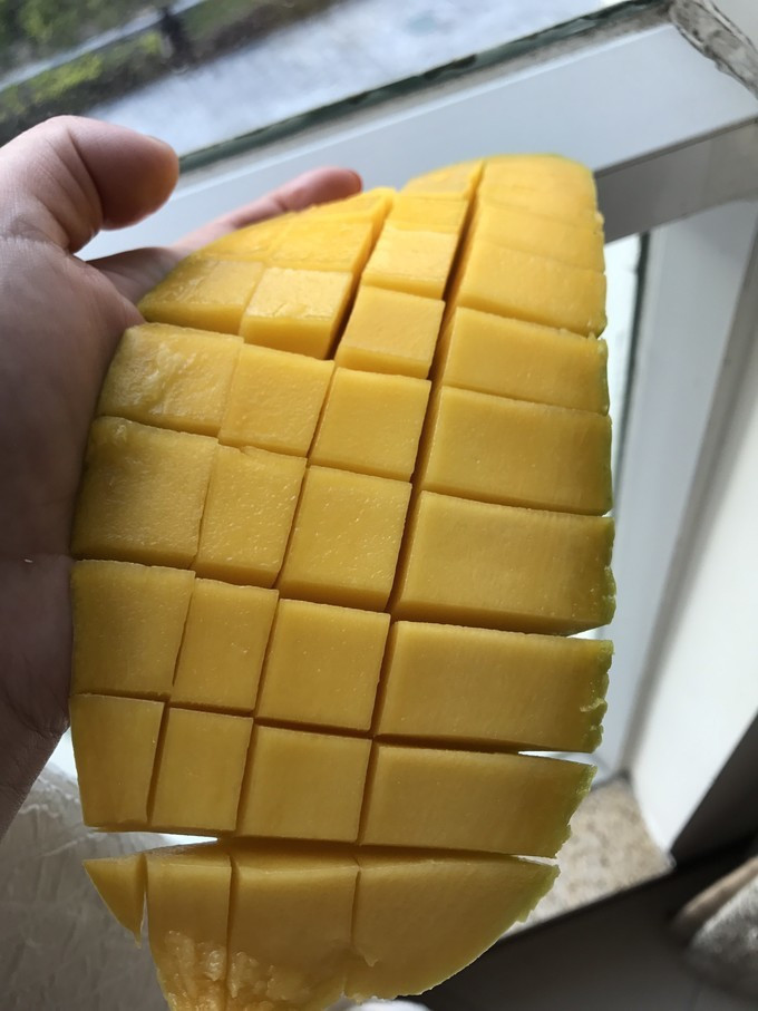 三亚的风景特别的美,感受一下三亚的气息和美景