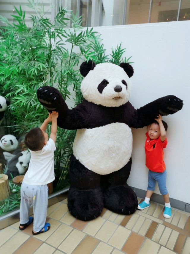 泰迪熊博物馆全球有哪些,世界泰迪熊博物馆