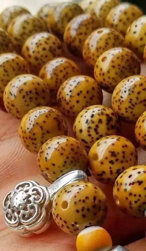 星月菩提品相一般大值得盘吗,星月菩提盘玩终极品相