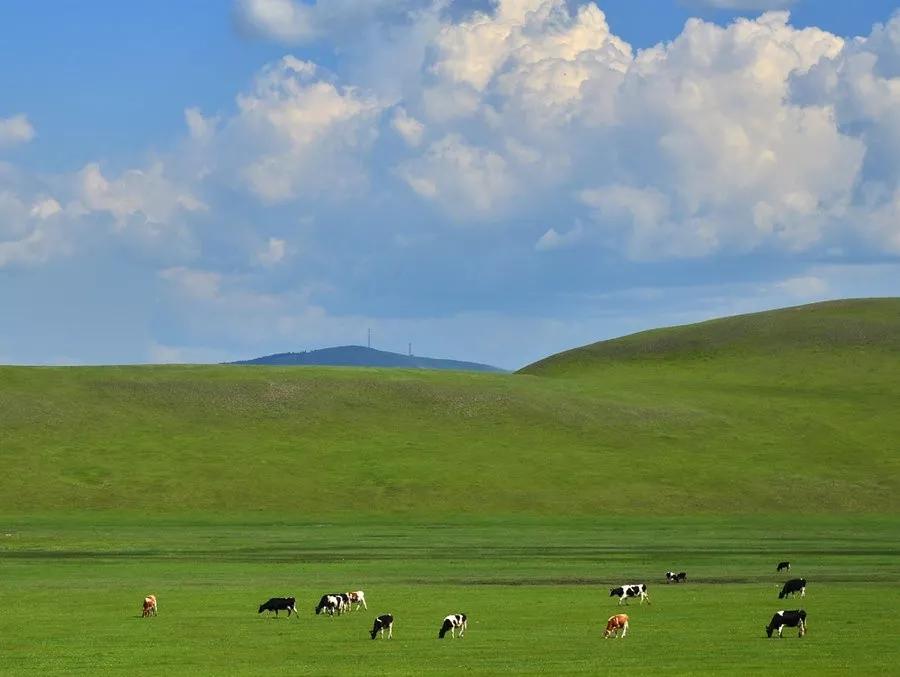 閭垫瘏寰瀷灏忚,閭垫瘏灏忚