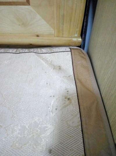 凉席怎么去除霉点,凉席上有霉点怎么洗