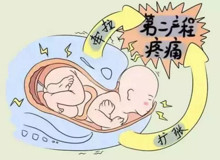 剖腹产顺产哪个更疼,剖腹产跟顺产哪个更疼一些