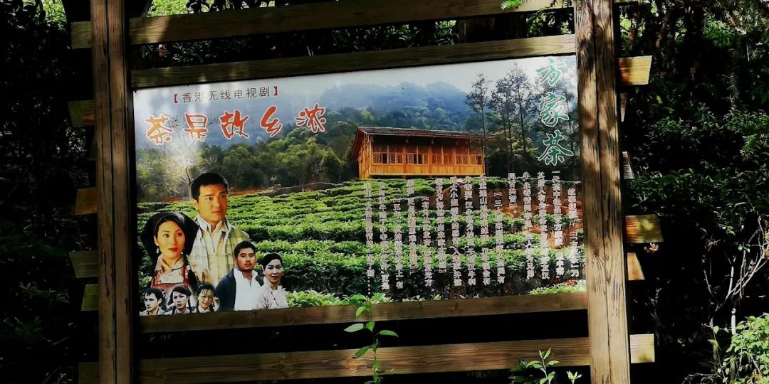 贺州姑婆山景区国家森林公园,贺州姑婆山森林公园路线