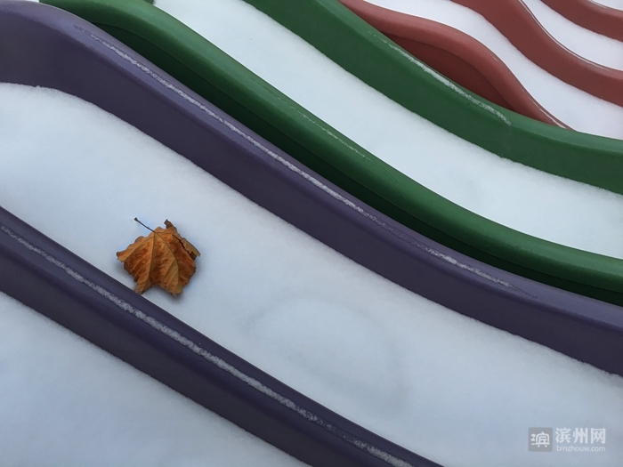 滨州摄影师吕维君：用心感受每一次快门的灵动