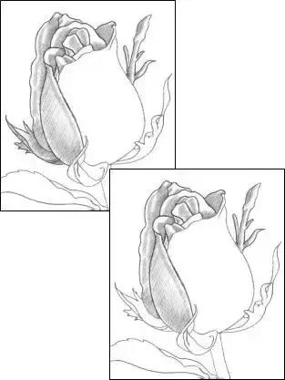 一幅素描玫瑰画如何加彩,玫瑰花束素描图片