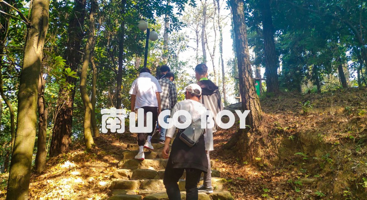 坚果pro2s与魅族pro7,坚果pro2s和小米8se对比