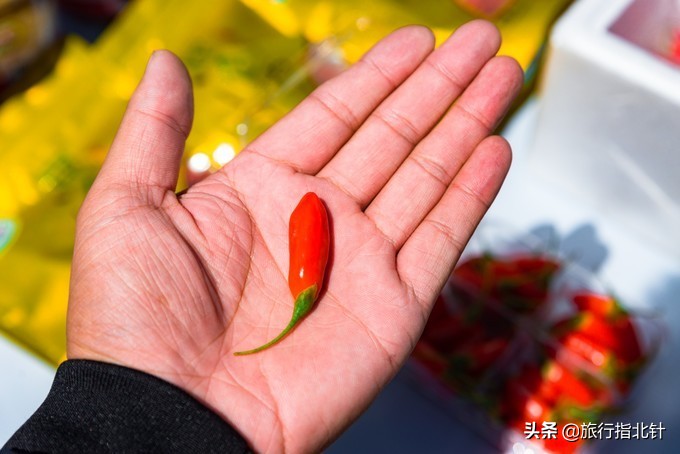 美丽青海，秋收的季节都兰红了，爆汁鲜甜的枸杞有小拇指大小