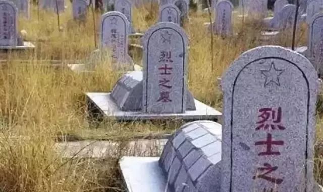 缉毒警察和吸毒明星,吸毒明星缉毒警