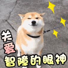 不会说话就变成了哑巴,不知不觉变成了哑巴