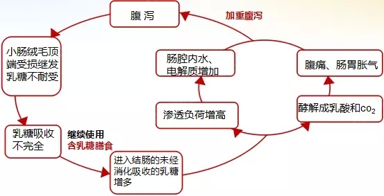 特配粉怎么看真假,特配粉品牌有哪些