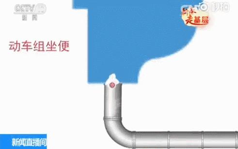 动车上蹲便的忌讳,动车上厕所能蹲吗