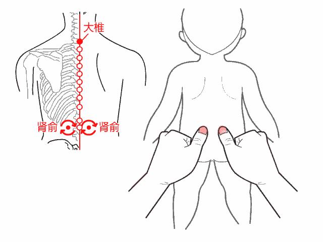 补阳厉害的中成药补全身阳气,补阳的5味中药了解一下吧