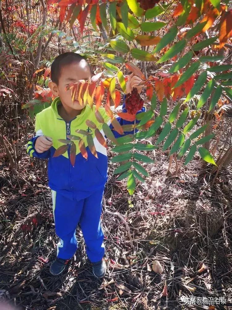 金太阳幼儿园校门,延安市甘泉谢金庄幼儿园