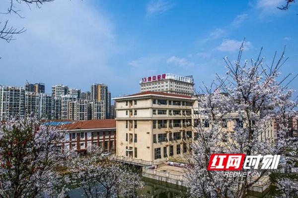 晚安家居的核心价值观,晚安家居湖南第一吗