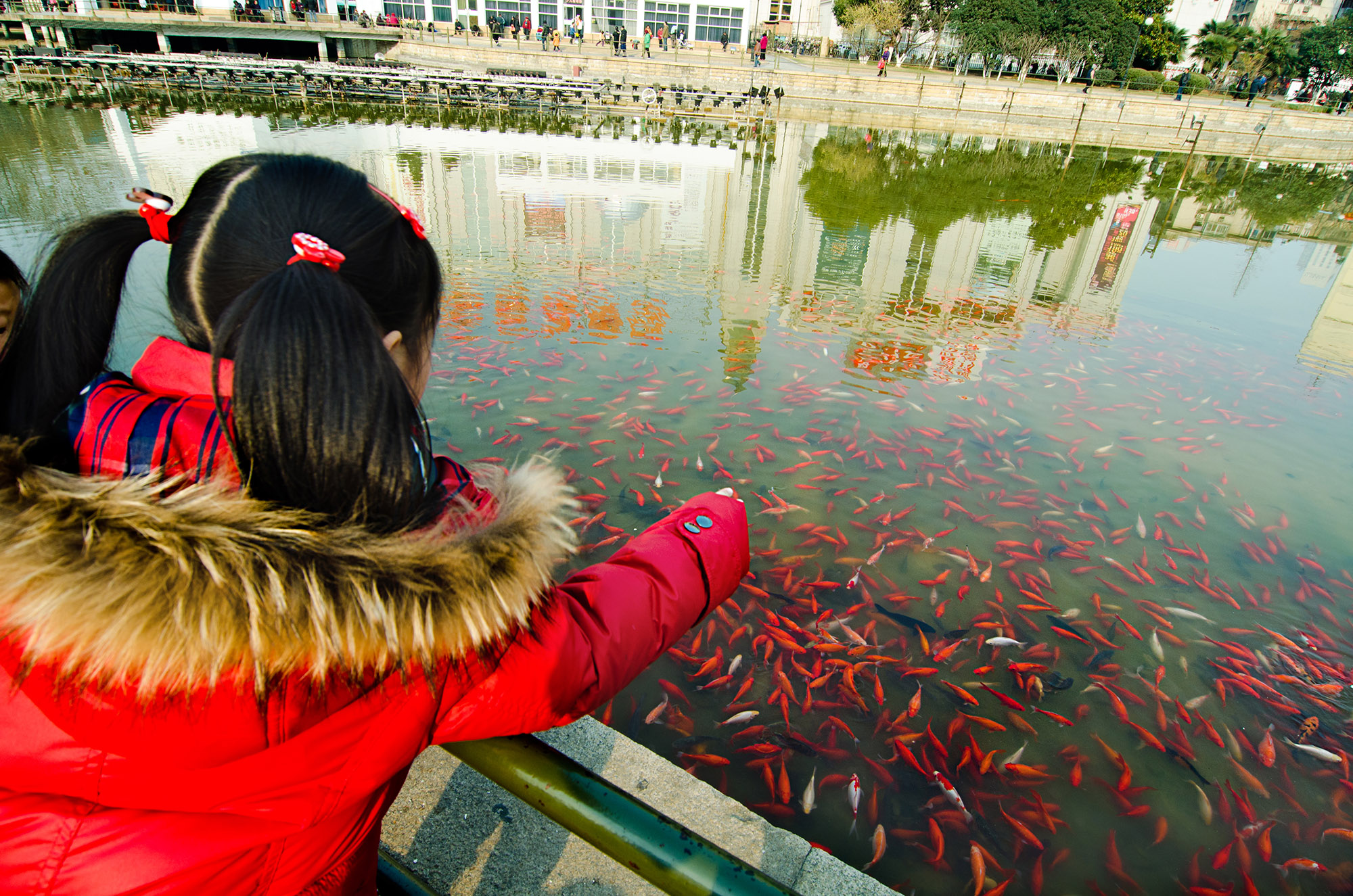 尼康d7000和d700画质对比,尼康d700012年