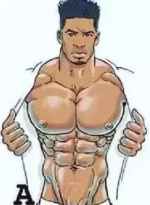 胸肌的四种胸型,男生方形胸肌和八字胸对比