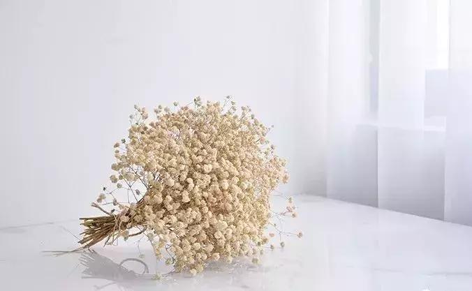 8种能做干花的鲜花，男朋友送的花就这么做