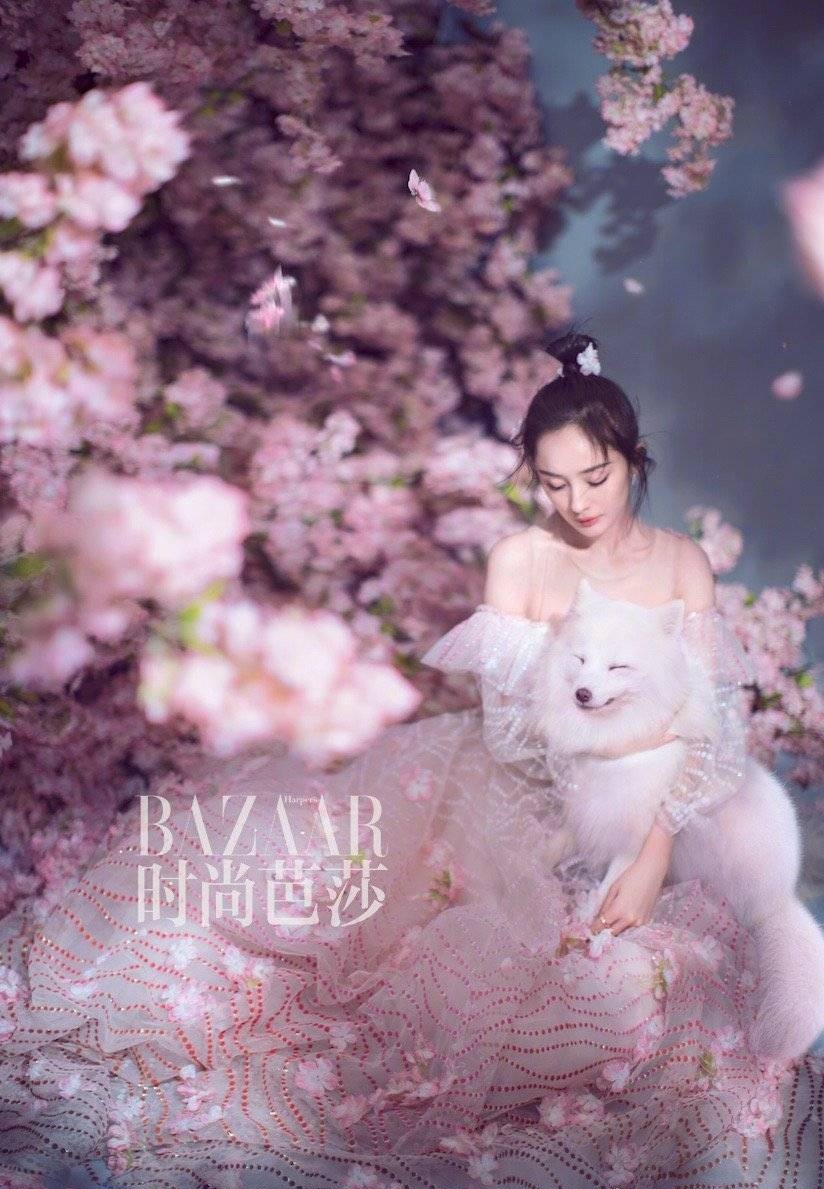 时尚芭莎杨幂图片超清,镜头中的杨幂造型时尚