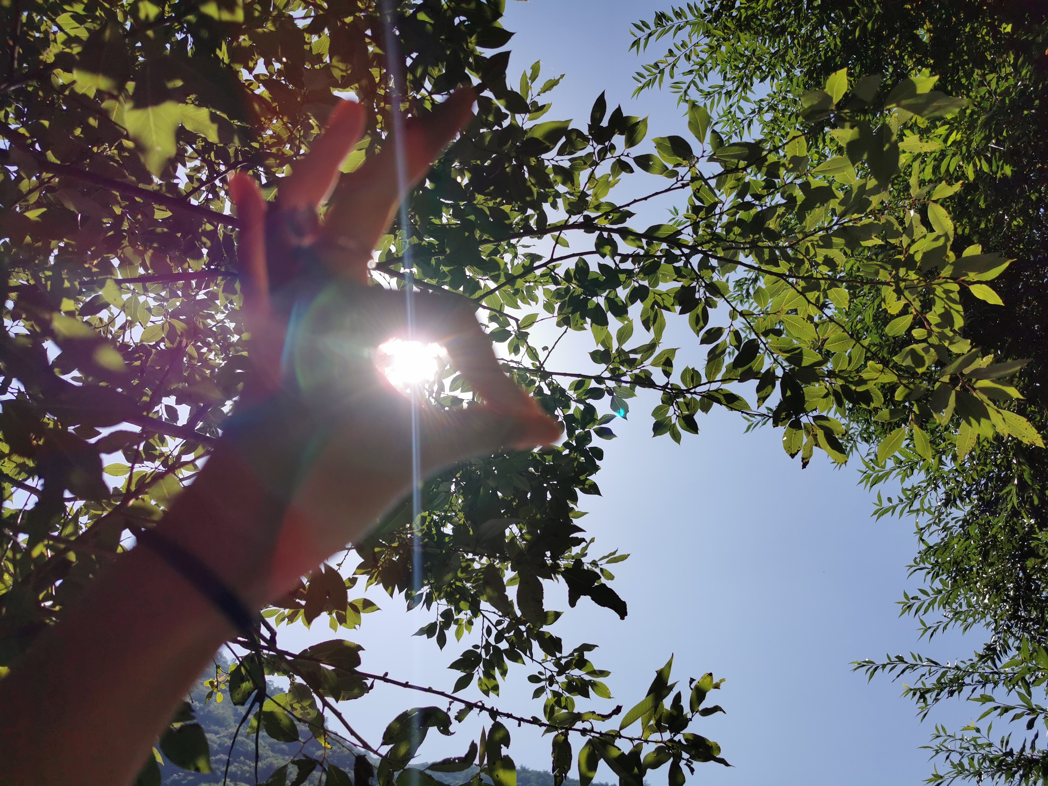高冠瀑布免费,高冠瀑布打车