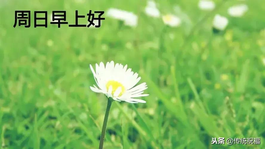 早安光棍节快乐,早安光棍节