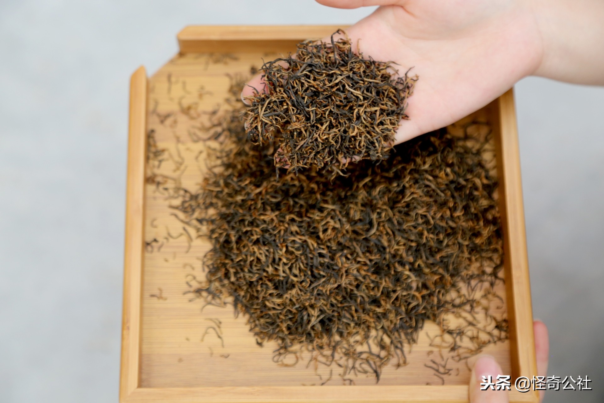 五盖山云雾贡茶历史渊源,高山云雾茶五指山红茶特点