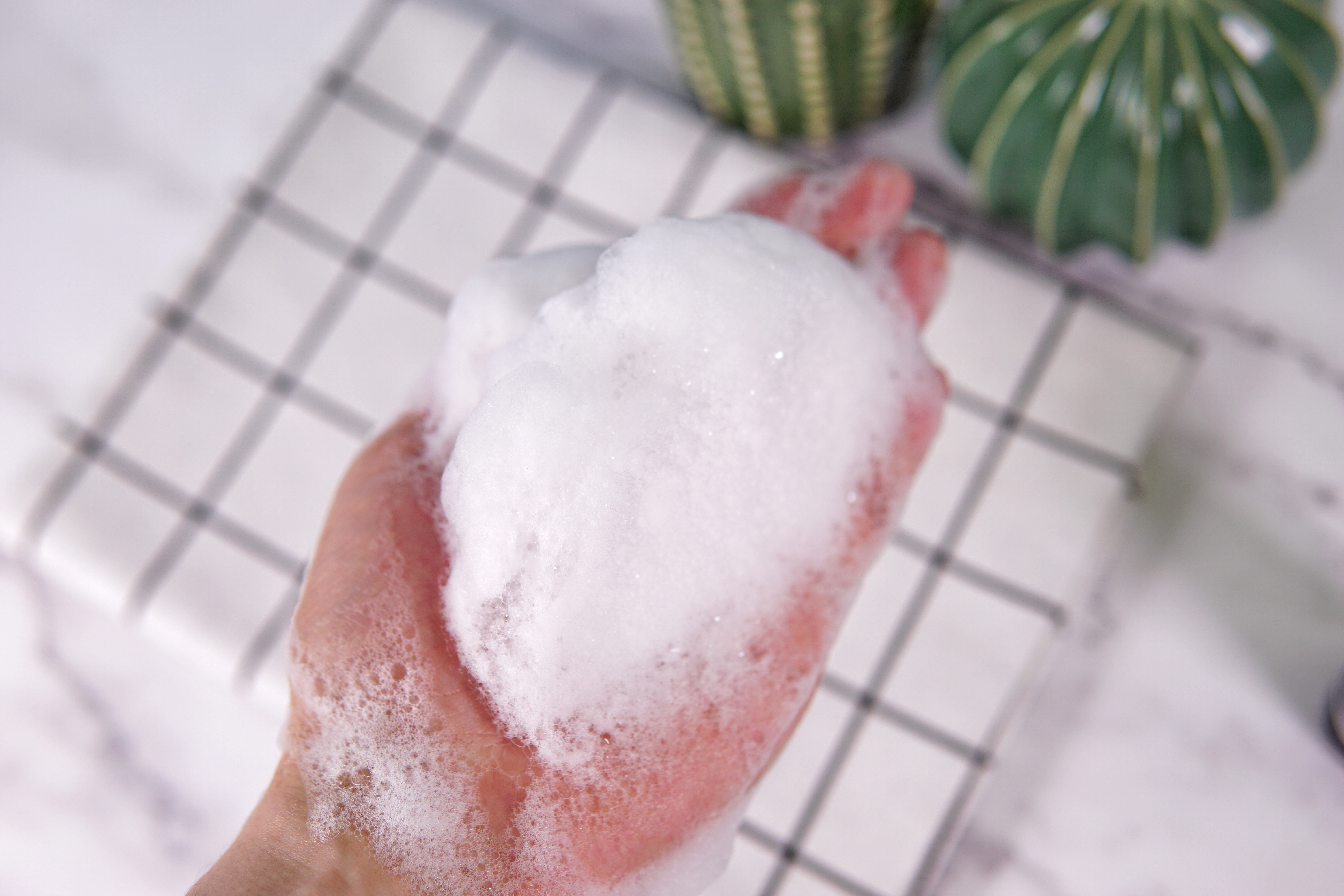 五星酒店威斯汀白茶,五星酒店同款洗护