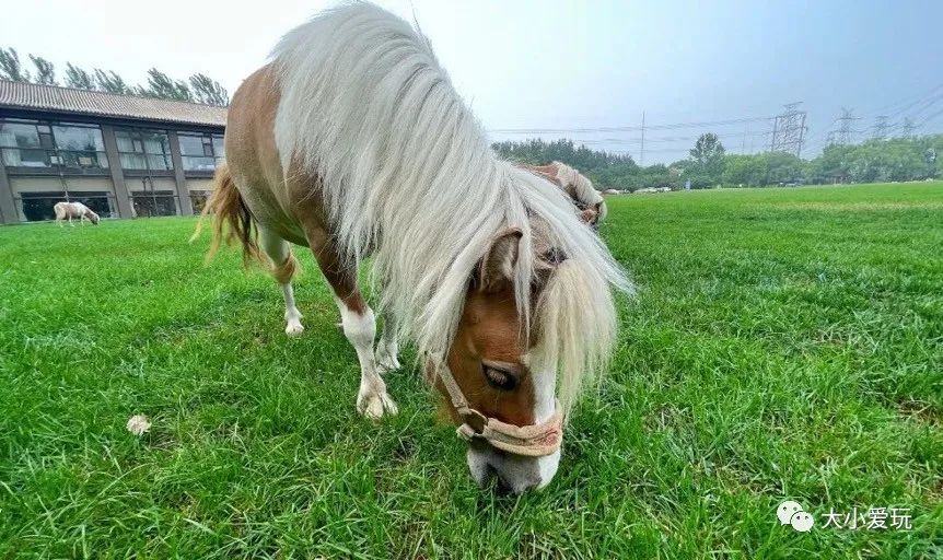 北京庄园旅游景点推荐,北京亲子庄园游玩推荐