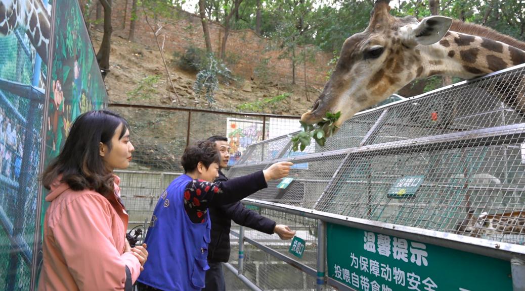 寻找城市的记忆,寻找城市记忆贵阳