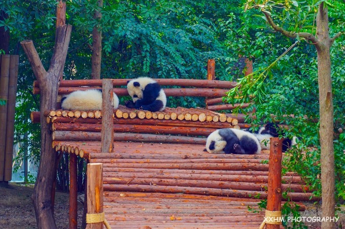 成都本地人去的最好吃的美食,中国姑娘吃成都美食