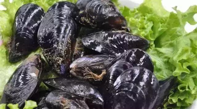 春天的威海处处是风景,威海的小海鲜