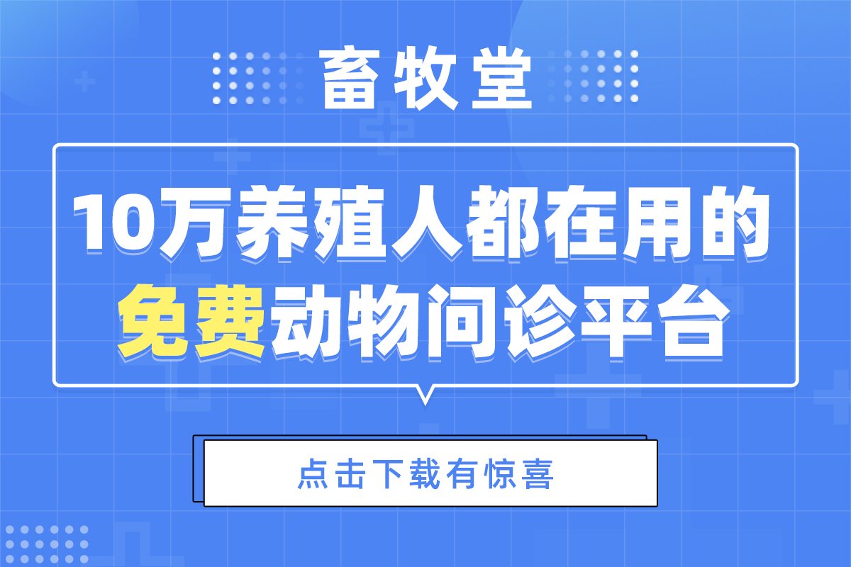 仔猪体温低打啥针,仔猪体温低什么病用什么药