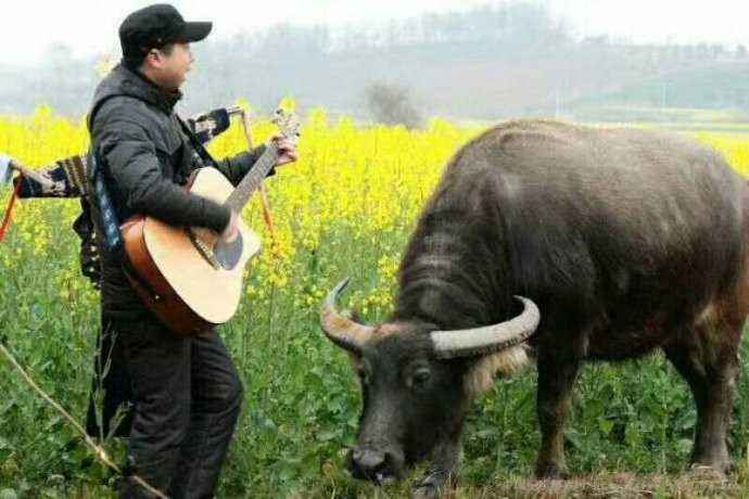 音响十大误区排名,颠覆你对音响认知