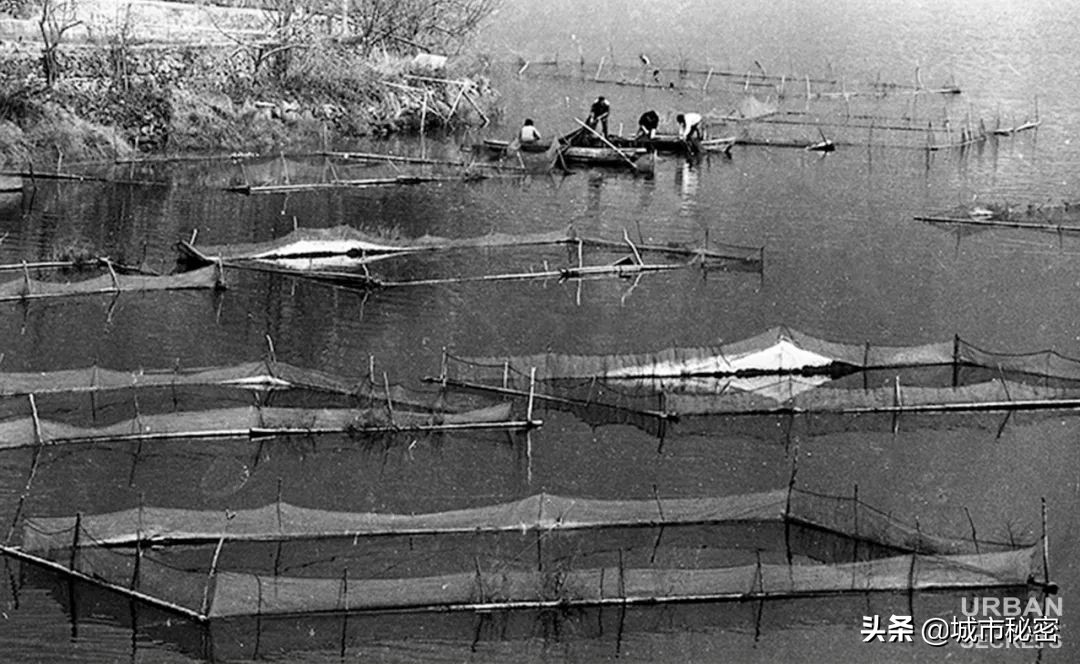 富阳是什么之乡,富阳原来属于哪个市