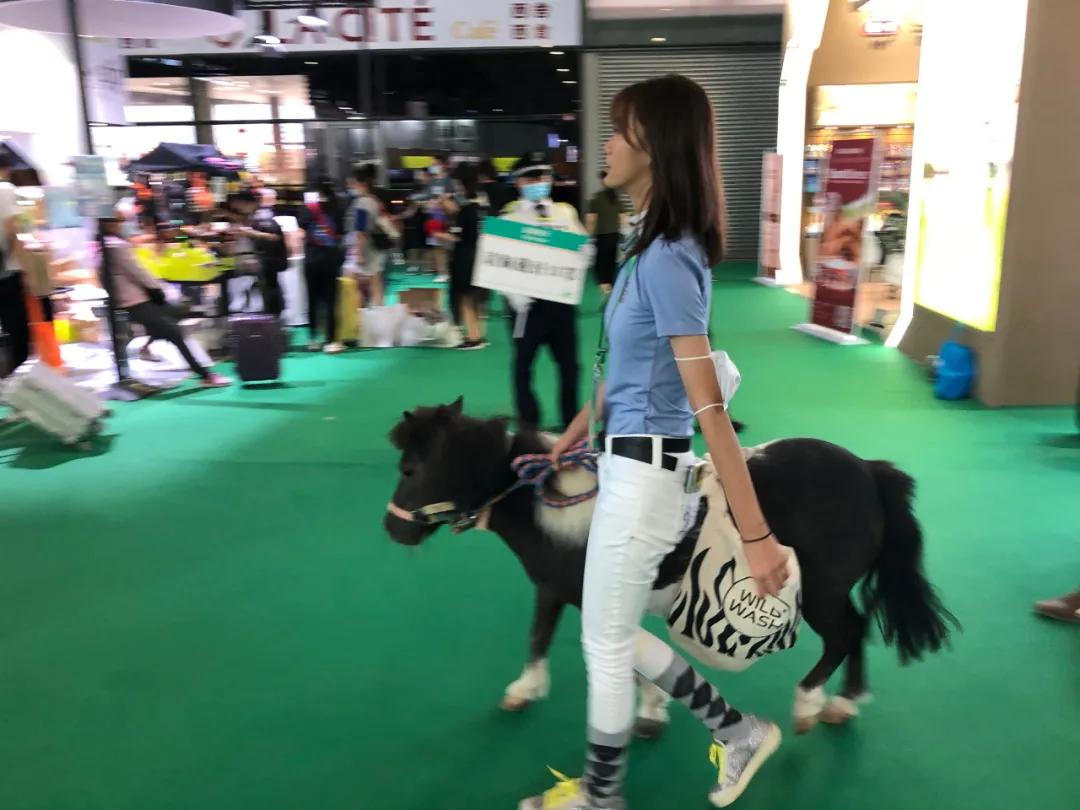 西北宠物行业的剁手盛宴来喽