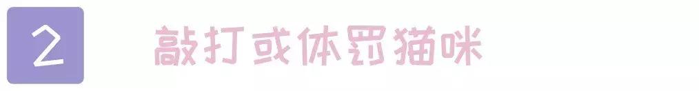 猫咪犯了错该如何批评？这2个错误的方式不要再用了