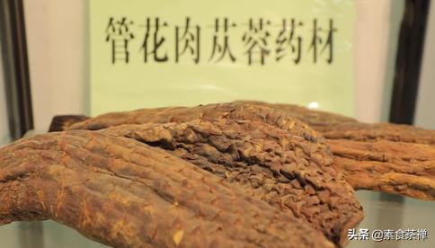 沙漠人参肉苁蓉哪里的最好,肉苁蓉生长环境与沙漠优势