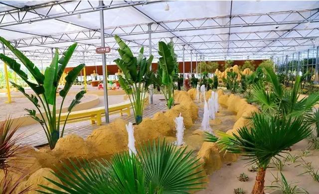 五一北京适合小孩玩的地方植物园,北京夏天带娃避暑最佳旅游地