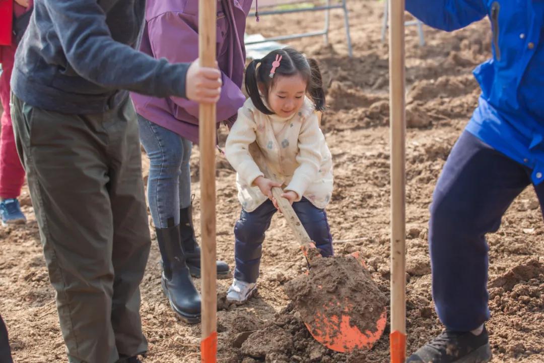 武汉植树高峰期,植树浪潮