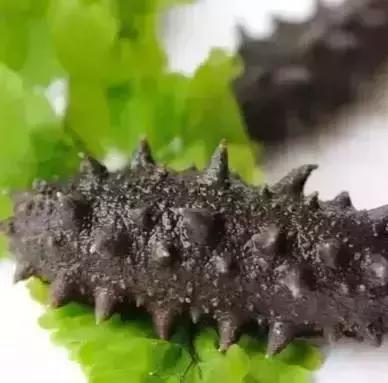 青岛西海岸30多项特产!这鱼还登上央视成了网红