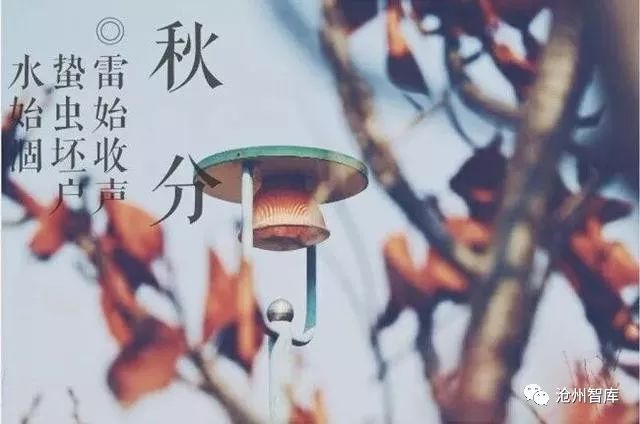 秋分节气是中国的农民丰收节,丰收节是秋分的节气吗