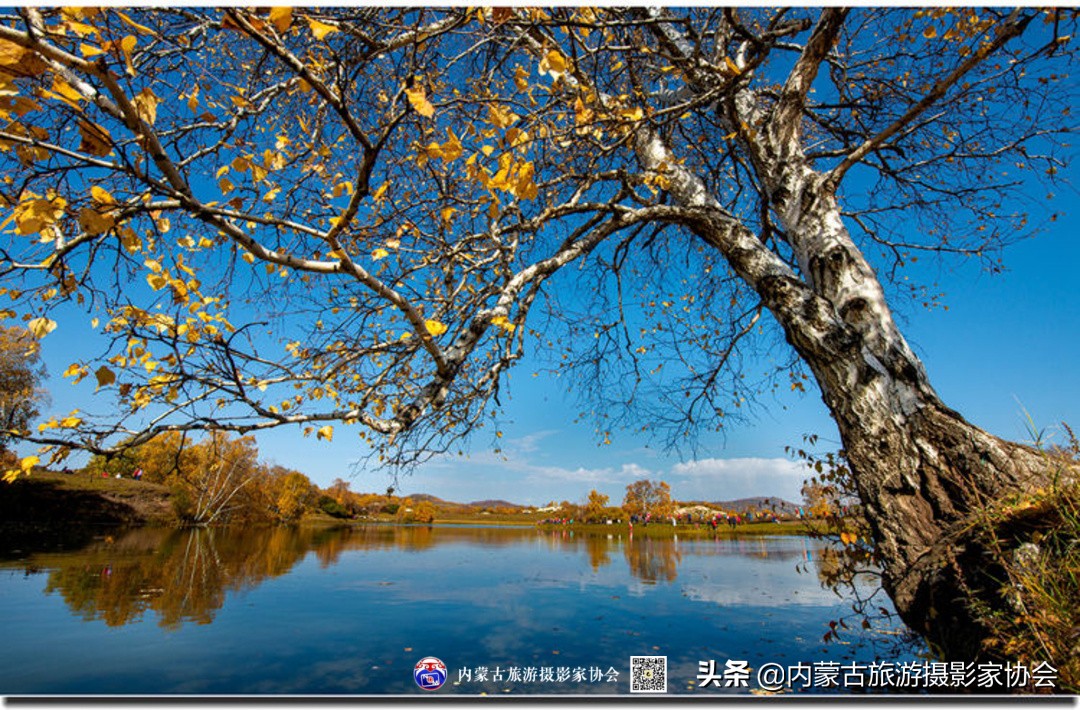 那山那水那滋味,那山那水那份爱