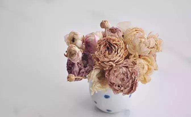 8种能做干花的鲜花，男朋友送的花就这么做