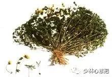 中药药材大全及功效,补肾中药大全及功效